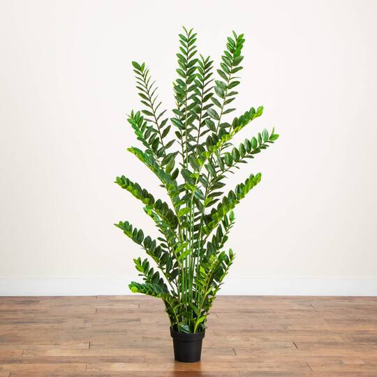 6ft. Artificial Zamioculcas Plant